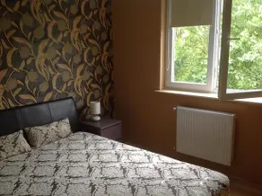 Heviz Asl Apartments - Image 5
