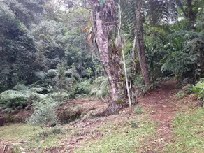 Ranchitos Del Quetzal - Image 3