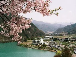 Takato Onsen Takato Sakura Hotel - Image 5