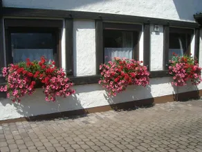 Haus Ebner - Image 2