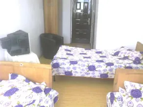 Casa Dobrescu - Image 2