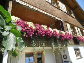 Ferienwohnung Kaufmann - Image 3