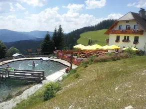 Almgasthof Moassa - Image 5