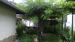 Nenkovi Guest house - Image 5