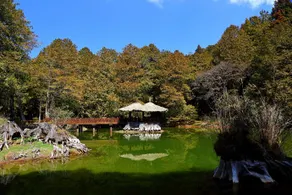 Alishan Gou Hotel - Image 2