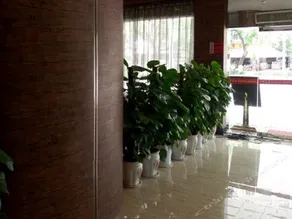 Xinhua Hotel - Image 3