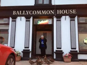 Ballycommon House - Image 2