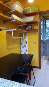 54 Cat - Image 5