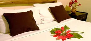 Hotel Harare Safari Lodge - Image 4