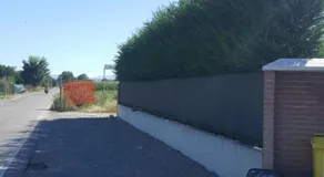 Villa with private swimming pool & Spa Parma - Image 3