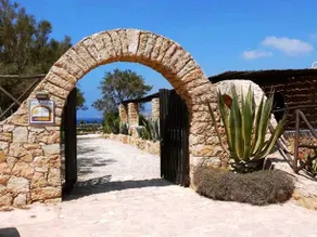 Calamadonna Club - Image 2