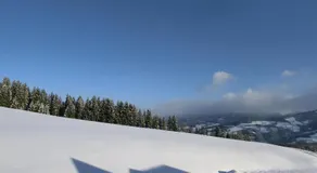 Trippolthof - Image 3
