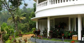 Wild Munnar Fragrance - Image 2
