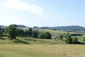 Domaine Des Monts Du Mâconnais - Image 5