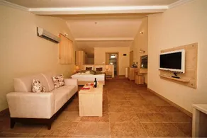 Olive Tree Studio - Image 2