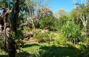 Kalapiti Luxury Jungle Suites - Image 5