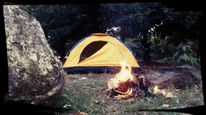 ECOWOODS FARMSTAY - Image 2