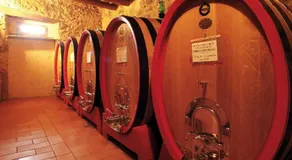 Podere Soccorso - Image 3