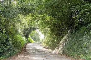 Lower Ford Farm - Image 3