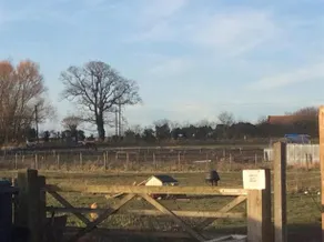 Holly Farm - Image 5