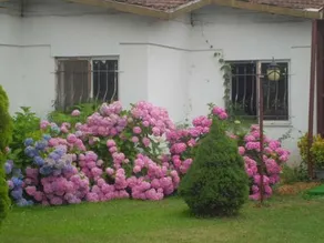 Guner Hotel - Image 2