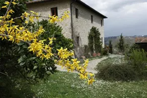 Corzano e Paterno - Image 2