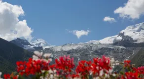 Artemis Saas-Fee - Image 2