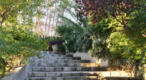 Finca Soñada - Image 2