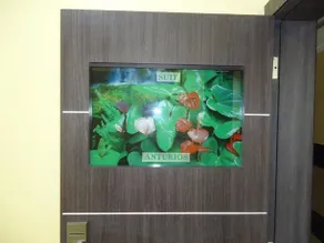Hotel Joya de la Selva - Image 3