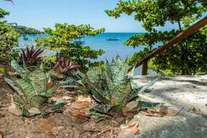Marble Hill Farms - Image 4