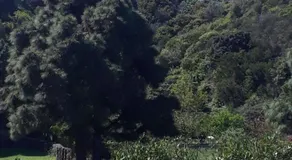 Riendas Vivas - Image 4