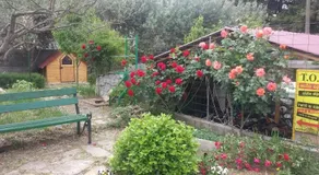 Apartments PHARIA - Image 4