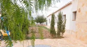 Marasolana - Image 5