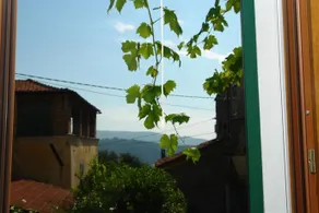Appartamento Camomilla - Image 5
