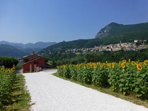 Country House Le Grazie - Image 5