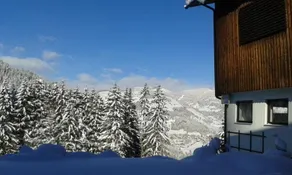 Pension Chalet Bergseegut - Image 5