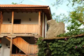 Forest House - Image 2