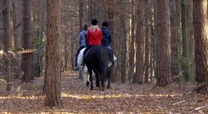 Ranch Kaja & Grom - Image 4