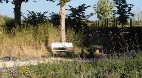 Finca Vrij - Image 4