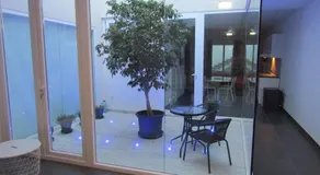 1 Flame Trees - Image 5