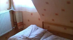 Alpesi VendÉghÁz - Image 4