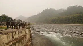 Corbett Call - Image 5