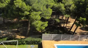 Bertur Mirasol - Image 4