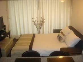 Apartment in Providencia Santiago - Image 5