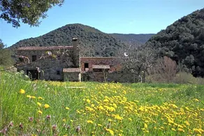 Bed and Breakfast Casanova de Sant Miquel - Image 2