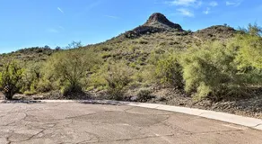 Phoenix Home with Private Oasis Walk to Lookout Mtn - Image 2