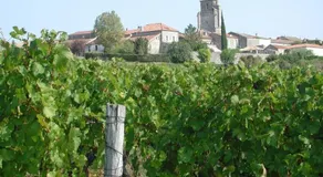 Le Château d'Allot - Image 5