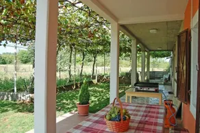 House InfinityGreen - Image 2