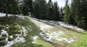 Panoramic - Image 2