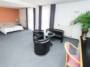The Originals Boutique, Hôtel Arianis, Sochaux (ex Qualys-Hotel) - Image 2